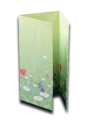 3-Lüttich Karte Frühling