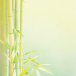 decadry-a4-papier-bambus-dpf613