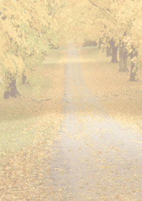 Waldweg