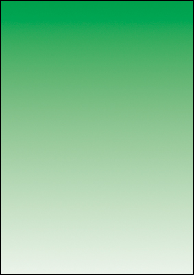 decadry-color-papier-a4-gras grün-dpj1219
