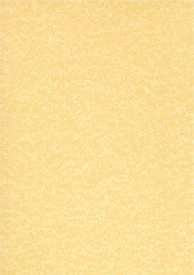 Decadry Struktur Papier-a4-Pergament-gold-pcl1600