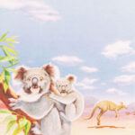 decadry thema papier koala dpf615