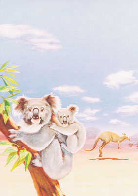 decadry-themen-papier-koala-dpf615