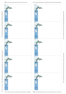 Dolphin Visite Karte
